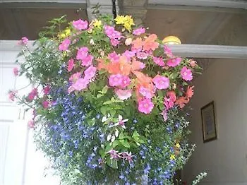 Geminian Konukevi 3*